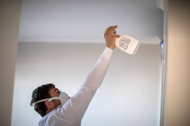 Best Residential Mold Removal  in Corinth, TX