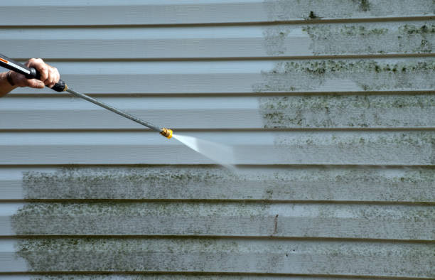 Best Mold Cleaning Services  in Corinth, TX