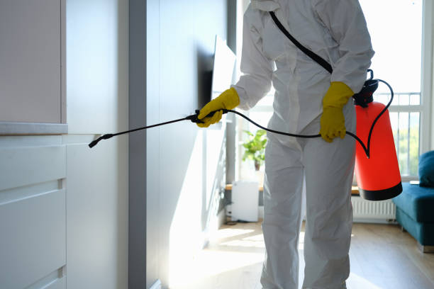Best Best Mold Removal Companies  in Corinth, TX