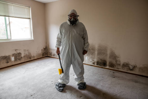 Certified Mold Removal in Corinth, TX