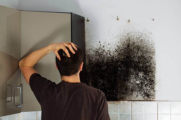 Best Crawl Space Mold Removal  in Corinth, TX