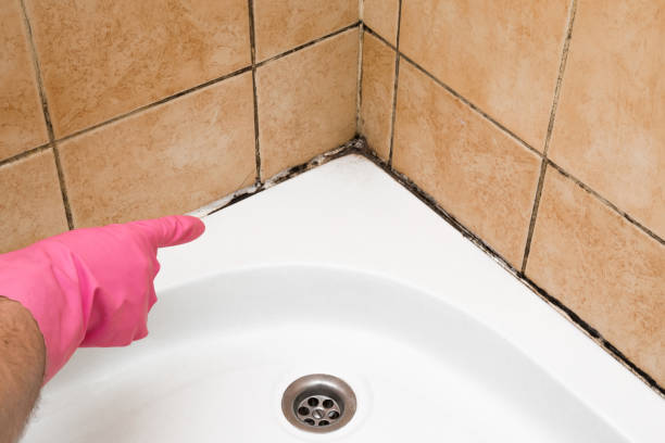 Best Mold Testing  in Corinth, TX